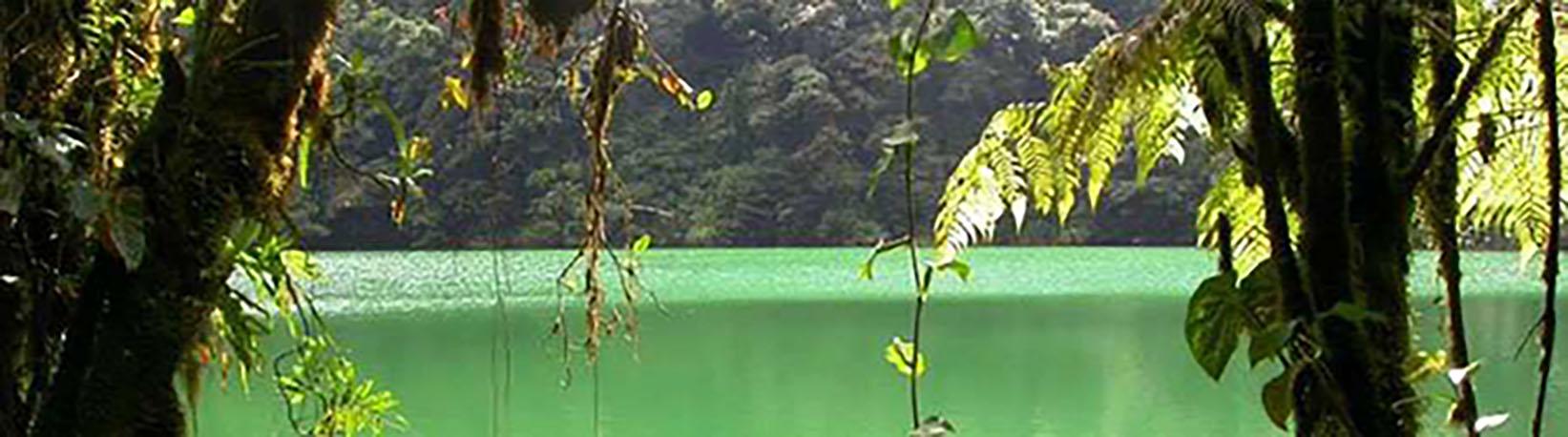 El Cerro Chato Volcano Hike Tour 3