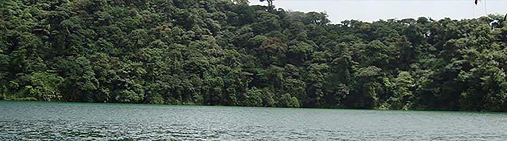 El Cerro Chato Volcano Hike Tour 6