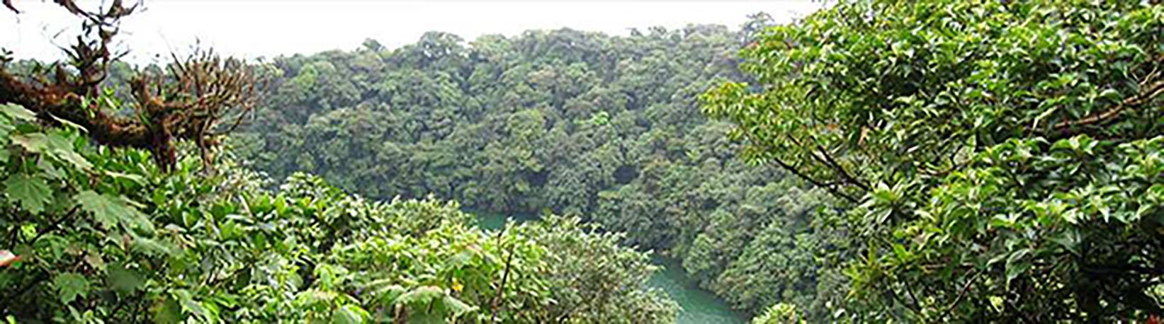 El Cerro Chato Volcano Hike Tour 7