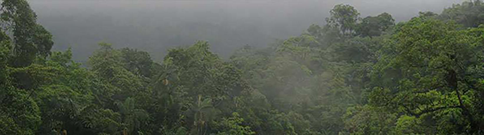 El Cerro Chato Volcano Hike Tour 8