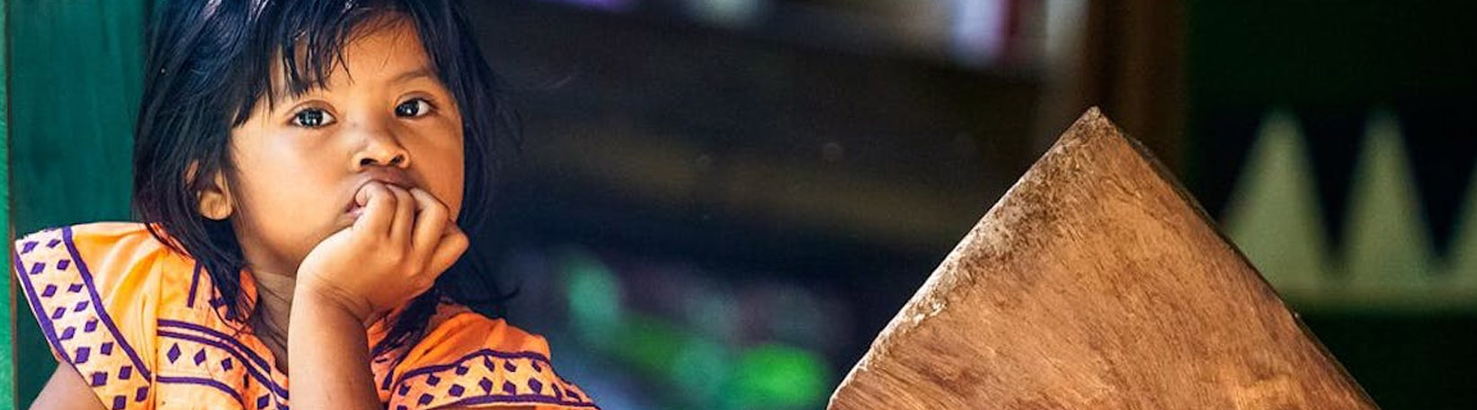 Go Adventure Park Arenal Horseback Ride & Indigenous Village Tour 1