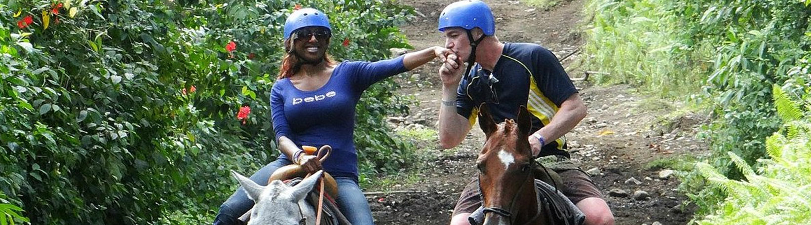 Go Adventure Park Arenal Horseback Ride & Indigenous Village Tour 8