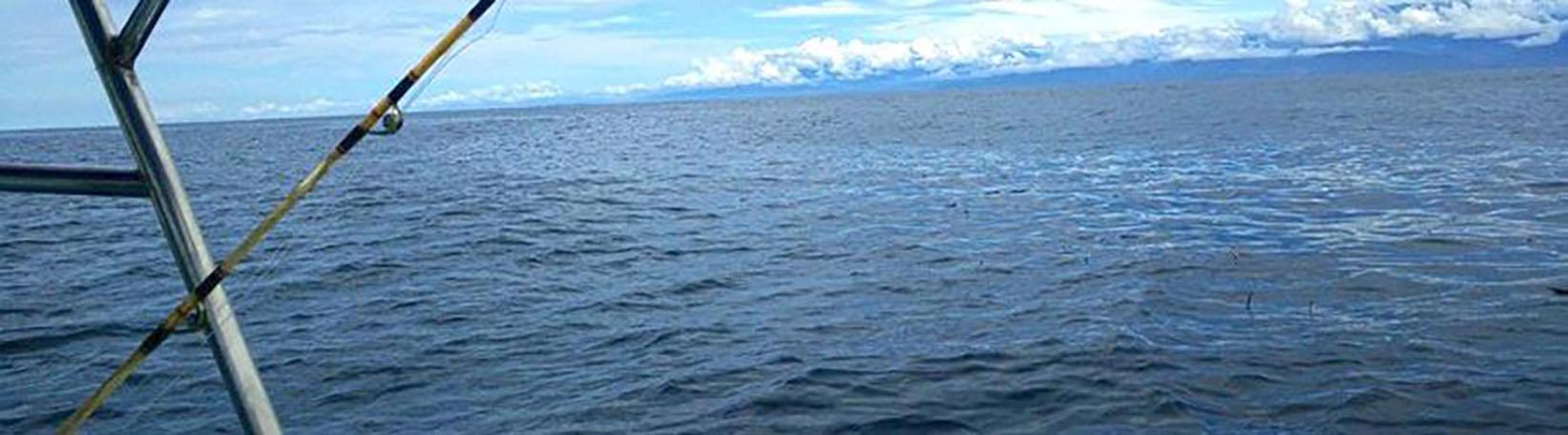 33´ Private Sport Fishing Charter 8