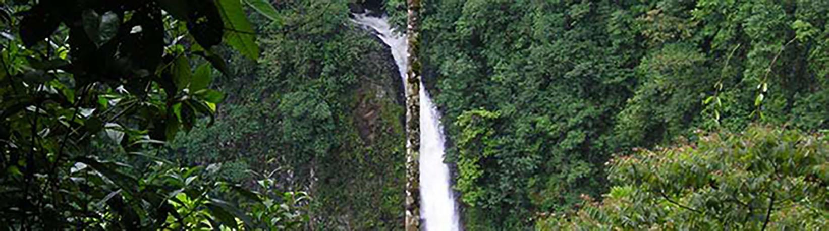 Arenal Volcano & La Fortuna Waterfall Horseback Ride Tour 5