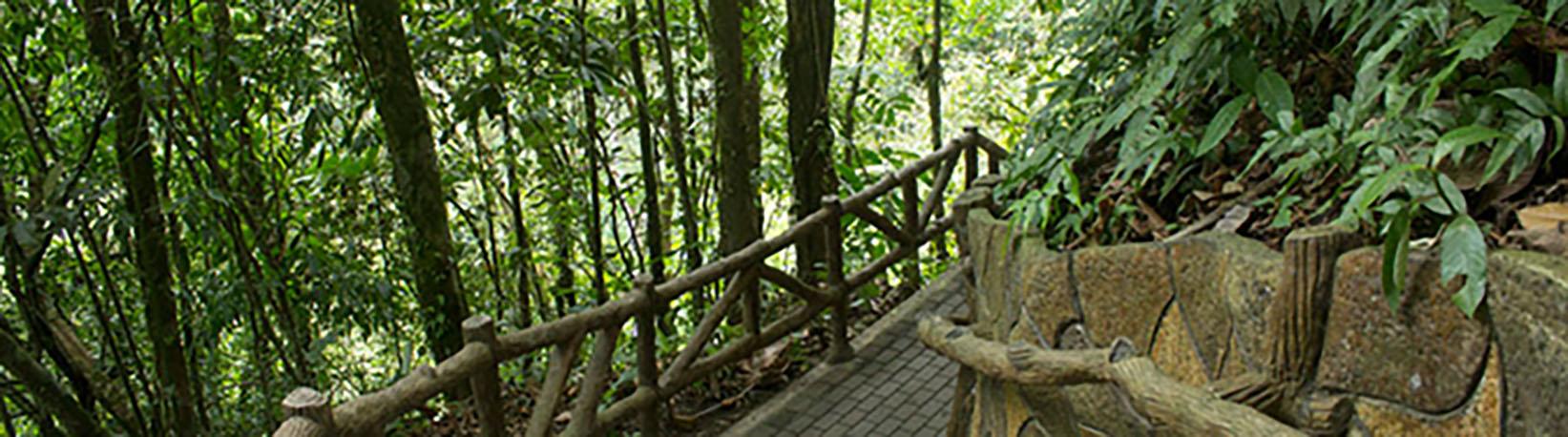 La Fortuna Waterfall Hike Tour 7