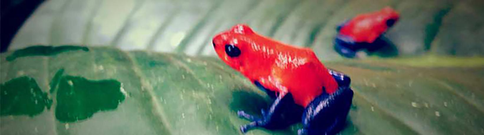 La Guaria Farm River & Waterfall ATV Tour Tour 8