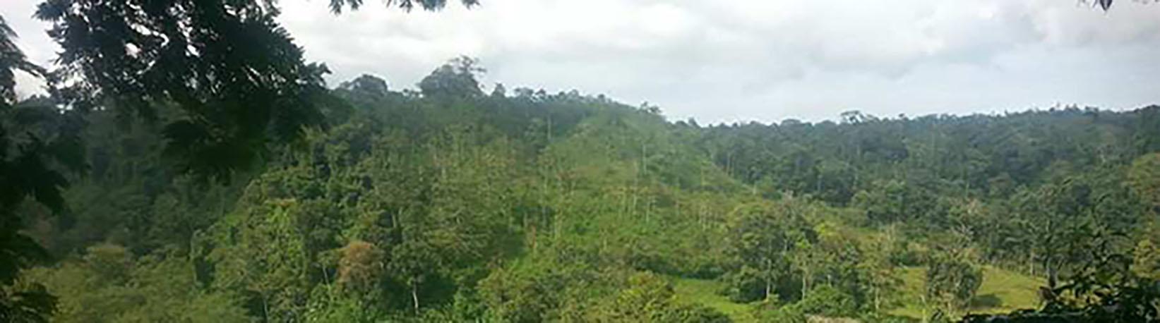 La Guaria Farm & Waterfall ATV Tour Tour 3