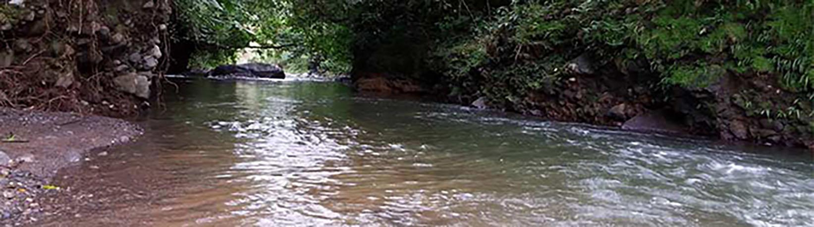 La Guaria Farm & Waterfall ATV Tour Tour 4