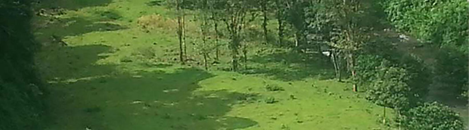 La Guaria Farm & Waterfall ATV Tour Tour 6