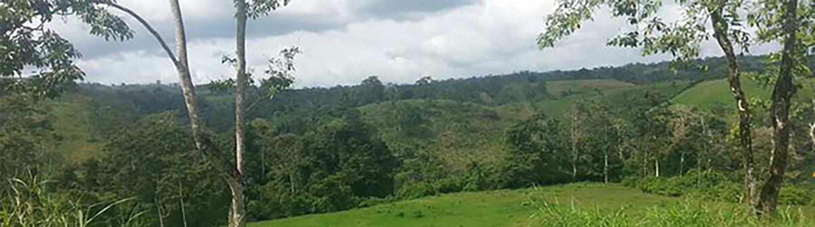 La Guaria Farm & Waterfall ATV Tour Tour 8