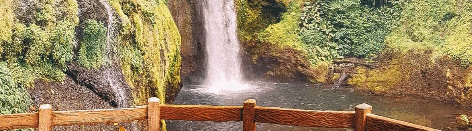 La Paz Waterfall Gardens from La Fortuna Tour 3