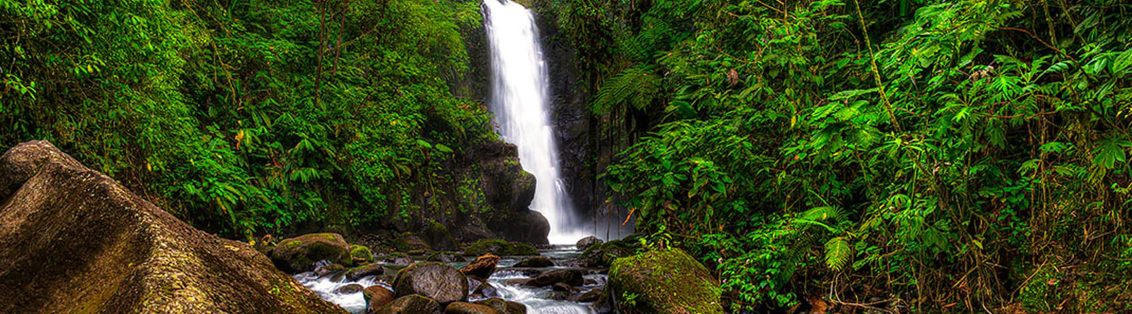 La Paz Waterfall Gardens from La Fortuna Tour 5
