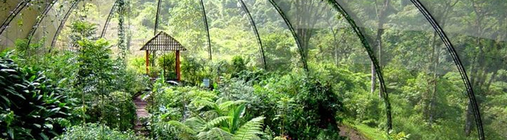 La Paz Waterfall Gardens from La Fortuna Tour 6