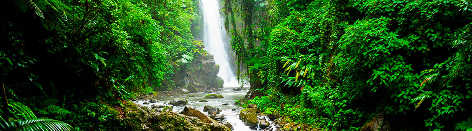 La Paz Waterfall Gardens from La Fortuna Tour 8
