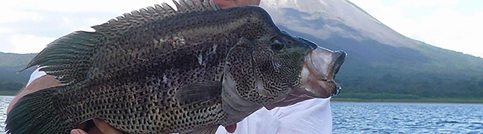 Lake Arenal Bass Fishing Tour 4