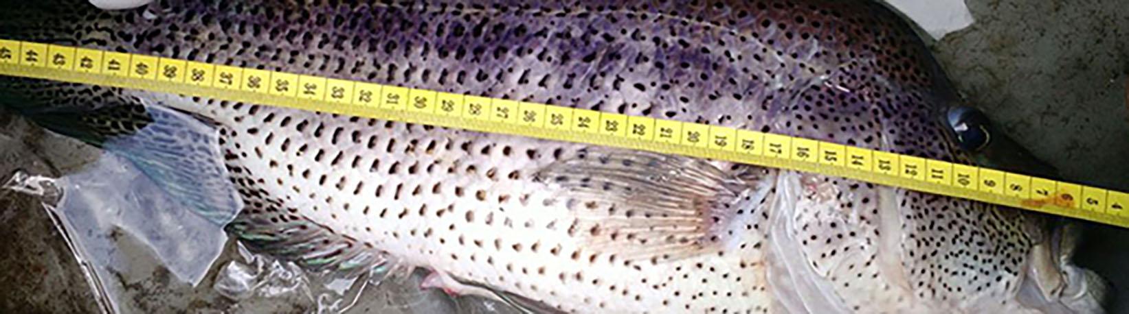 Lake Arenal Bass Fishing Tour 8