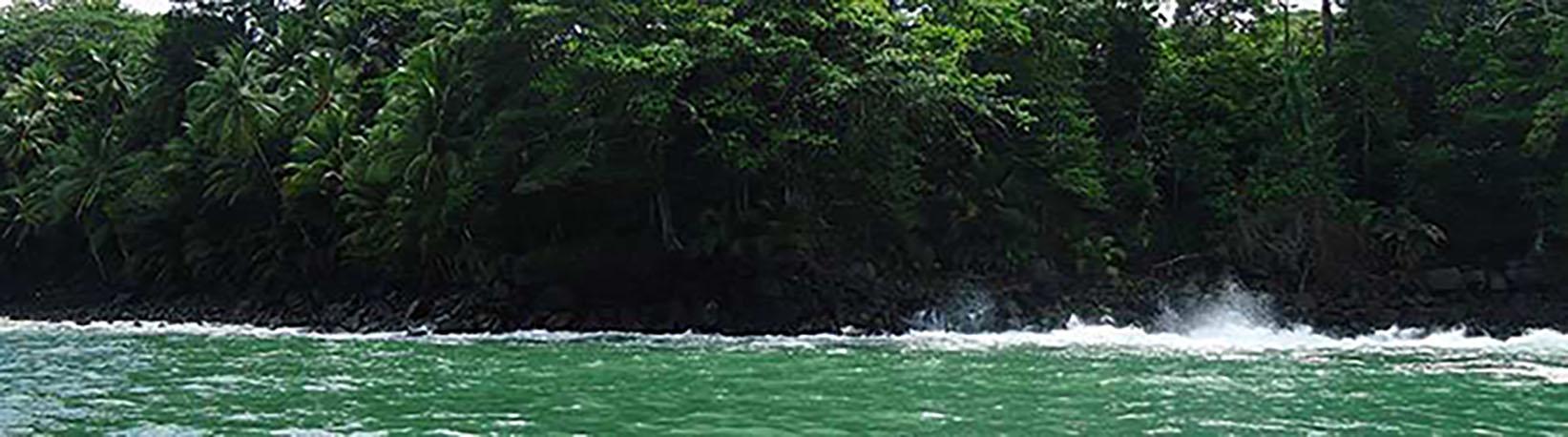 Marino Ballena Snorkel Express Tour 3