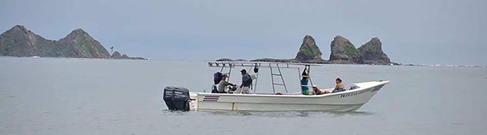 Marino Ballena Whale Watching & Wild Dolphin Combo Tour 2