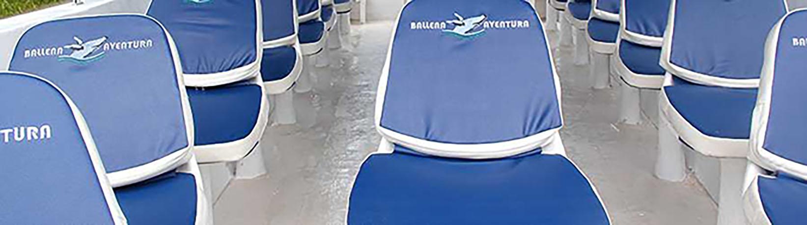 Marino Ballena Whale Watching & Wild Dolphin Combo Tour 4