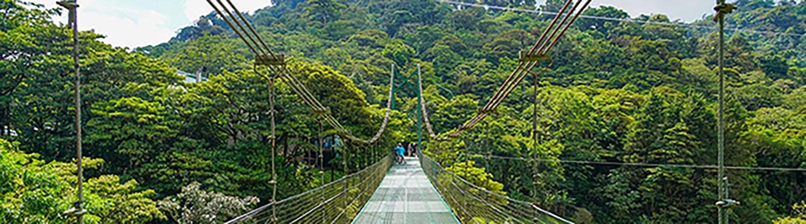 Monteverde Cloud Forest Tour Experience Tour 1