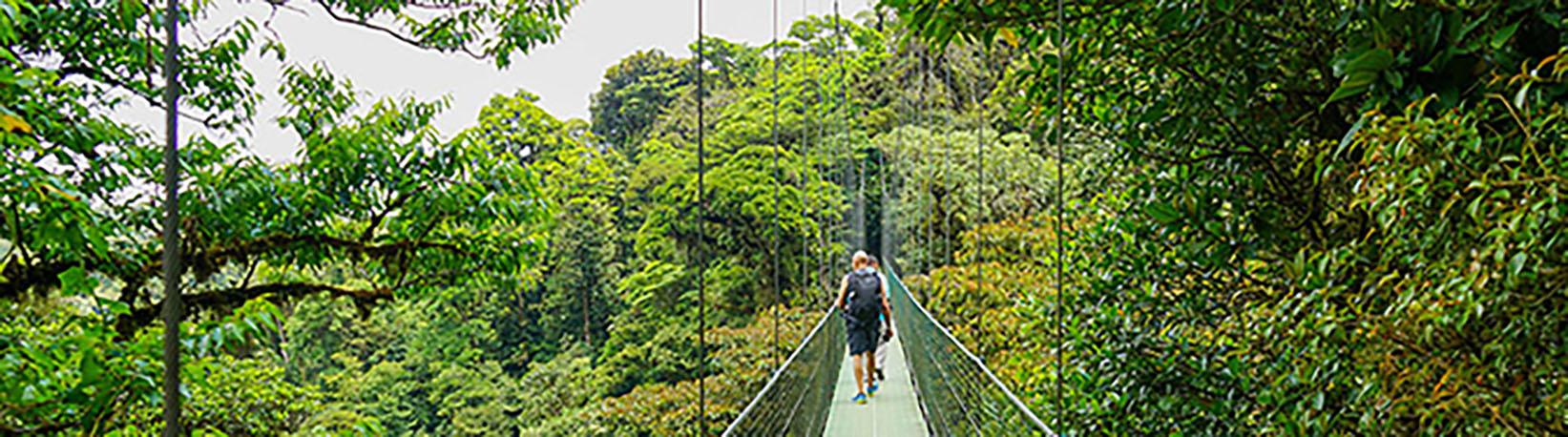 Monteverde Cloud Forest Tour Experience Tour 2