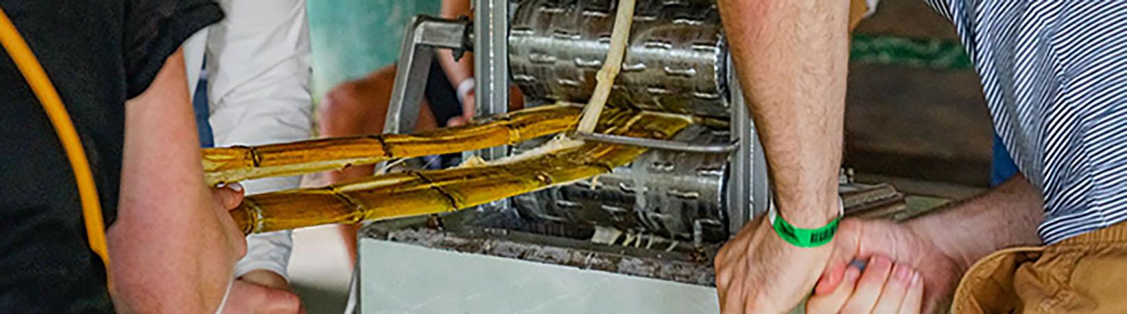 Monteverde Cloud Forest Tour Experience Tour 4