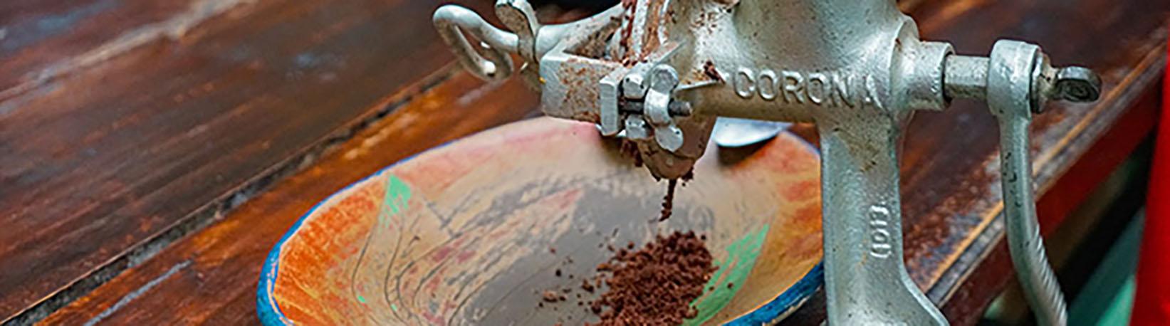 Monteverde Cloud Forest Tour Experience Tour 5