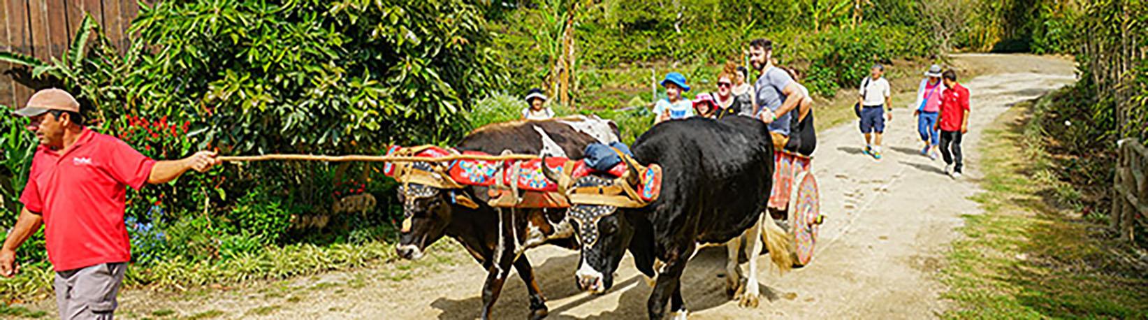 Monteverde Cloud Forest Tour Experience Tour 7