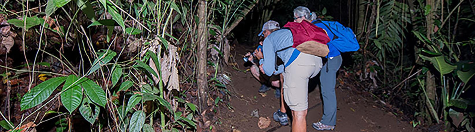 Night Jungle Walk Tour at Danaus Eco Center Tour 2