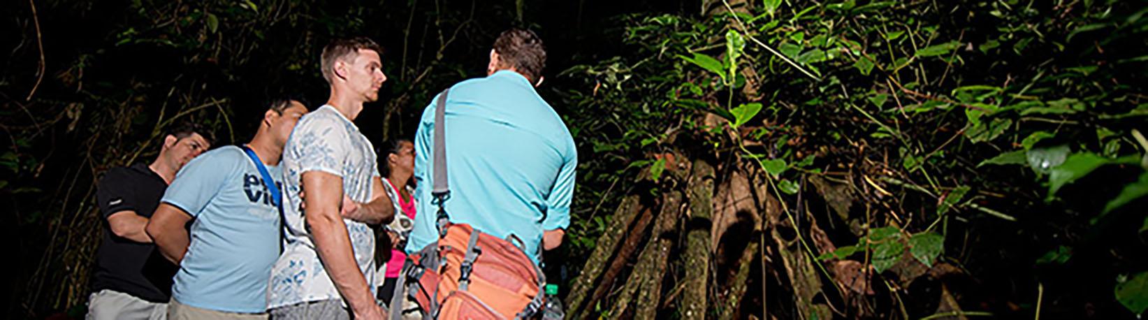 Night Jungle Walk Tour at Danaus Eco Center Tour 7