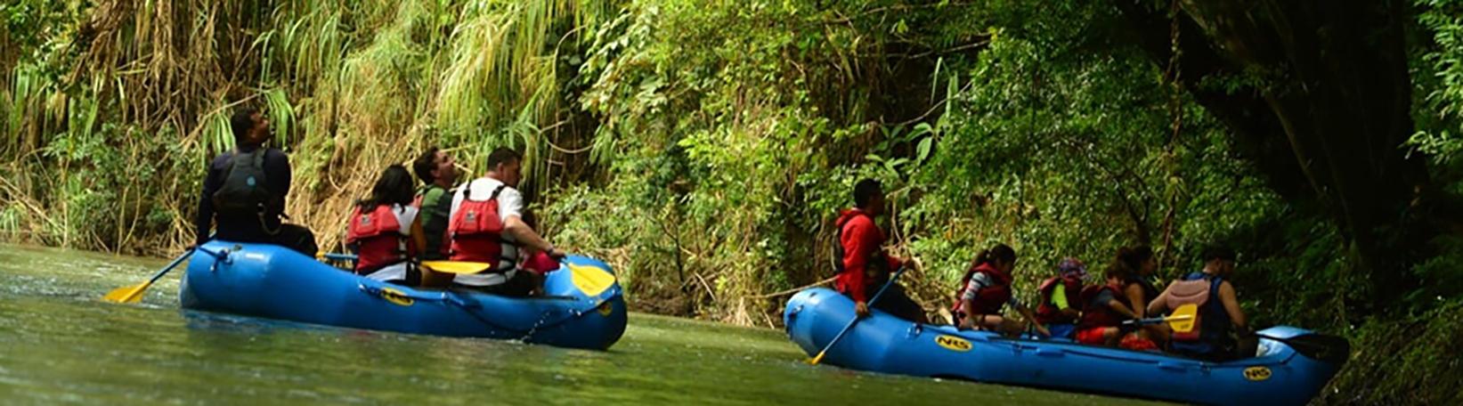 Peñas Blancas Nocturnal Safari Costa Rica Tour 1