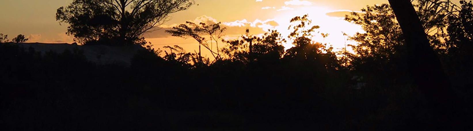 Peñas Blancas Nocturnal Safari Costa Rica Tour 2