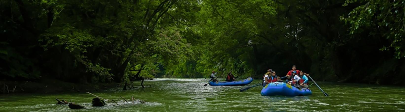 Peñas Blancas Nocturnal Safari Costa Rica Tour 8