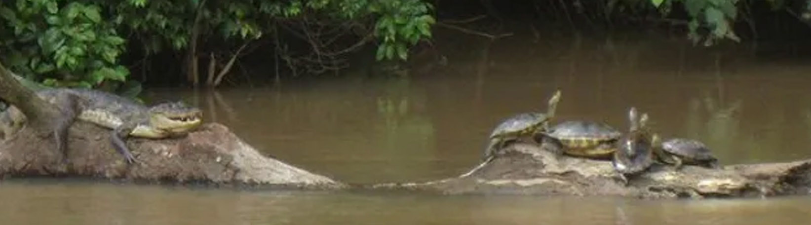 Penas Blancas River Float + La Fortuna Waterfall Hike Tour 3