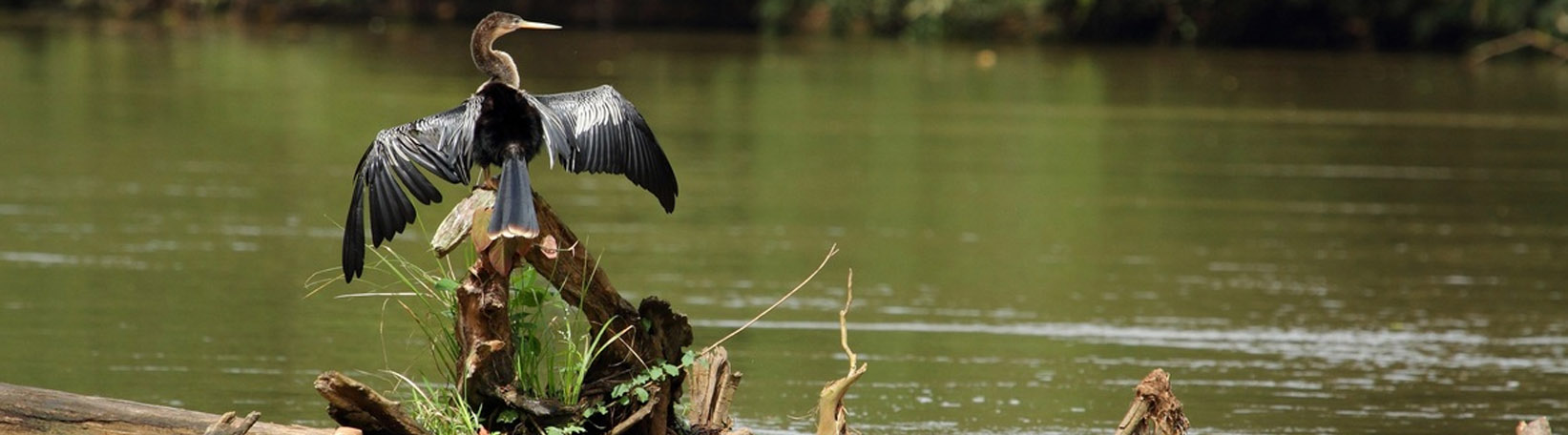 Penas Blancas River Float + La Fortuna Waterfall Hike Tour 6