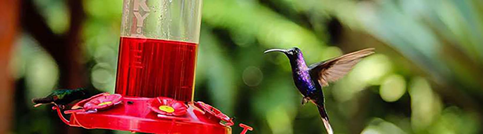 Poas Volcano & La Paz Waterfall Gardens Tour 4