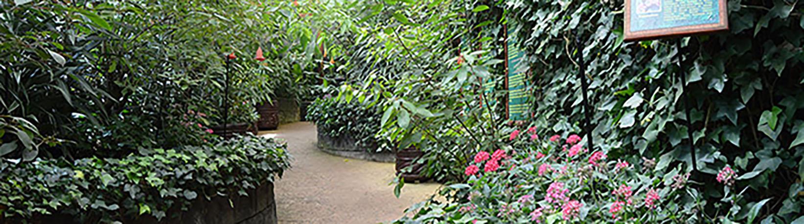 Poas Volcano & La Paz Waterfall Gardens Tour 6