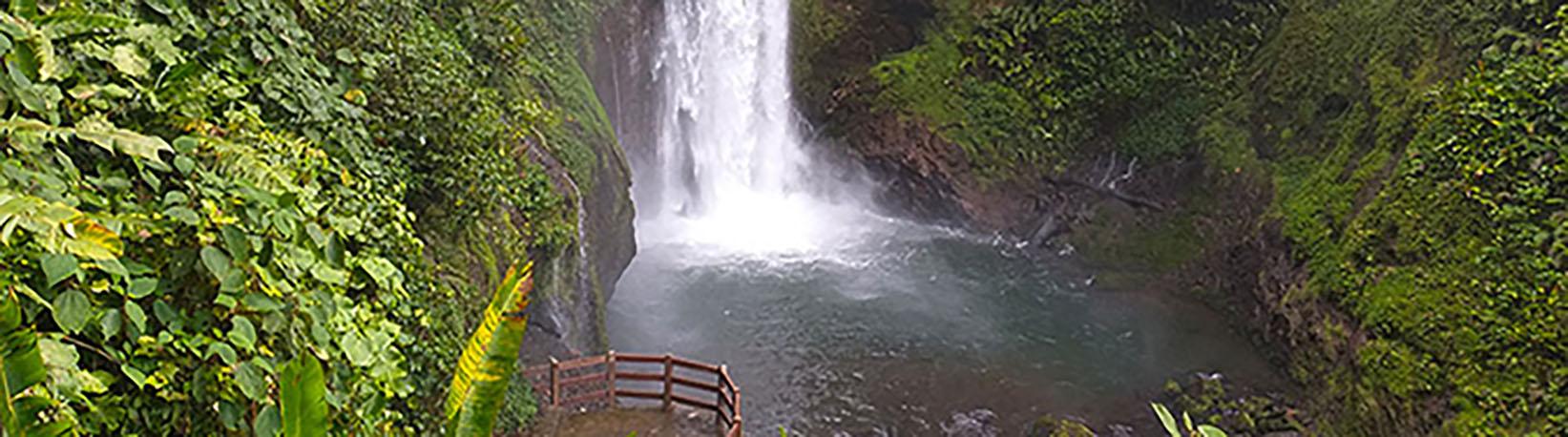 Poas Volcano & La Paz Waterfall Gardens Tour 7