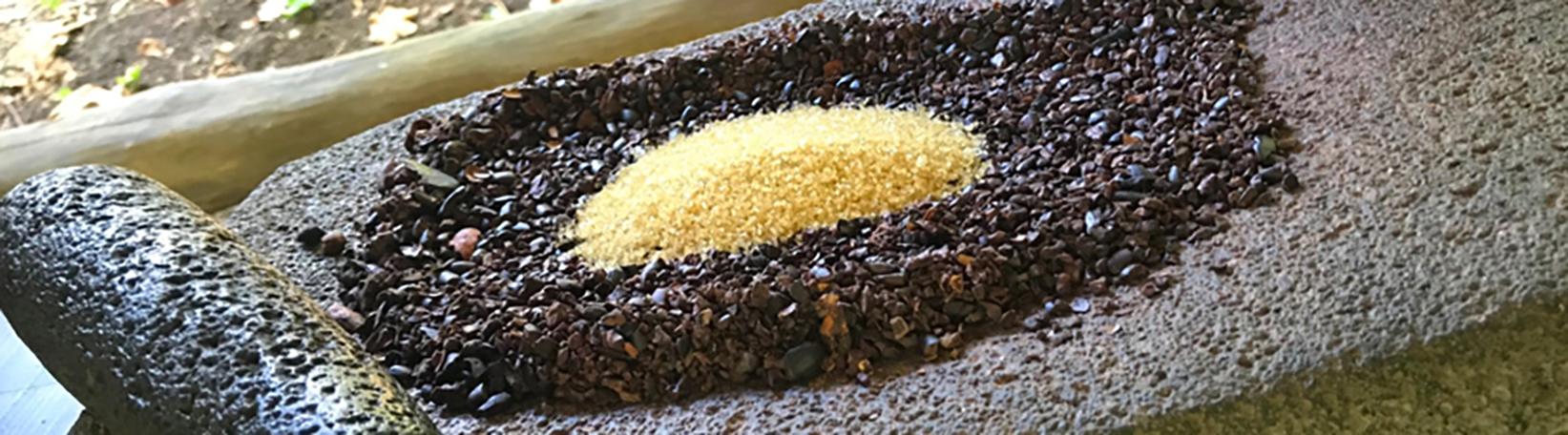 Rainforest Chocolate Tour Costa Rica Tour 2