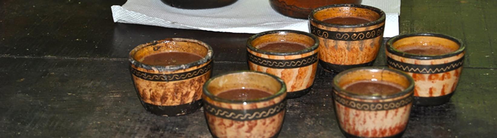 Rainforest Chocolate Tour Costa Rica Tour 5