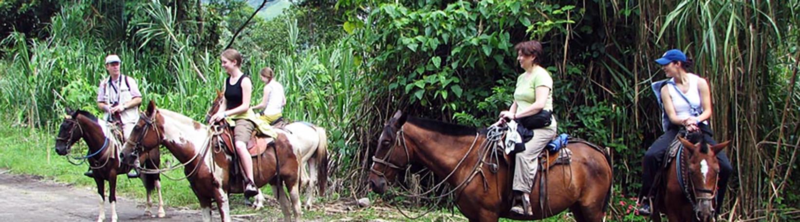 Balsa River Paddle, Arenal Saddle & La Fortuna Waterfall Hike Super Combo Tour 3