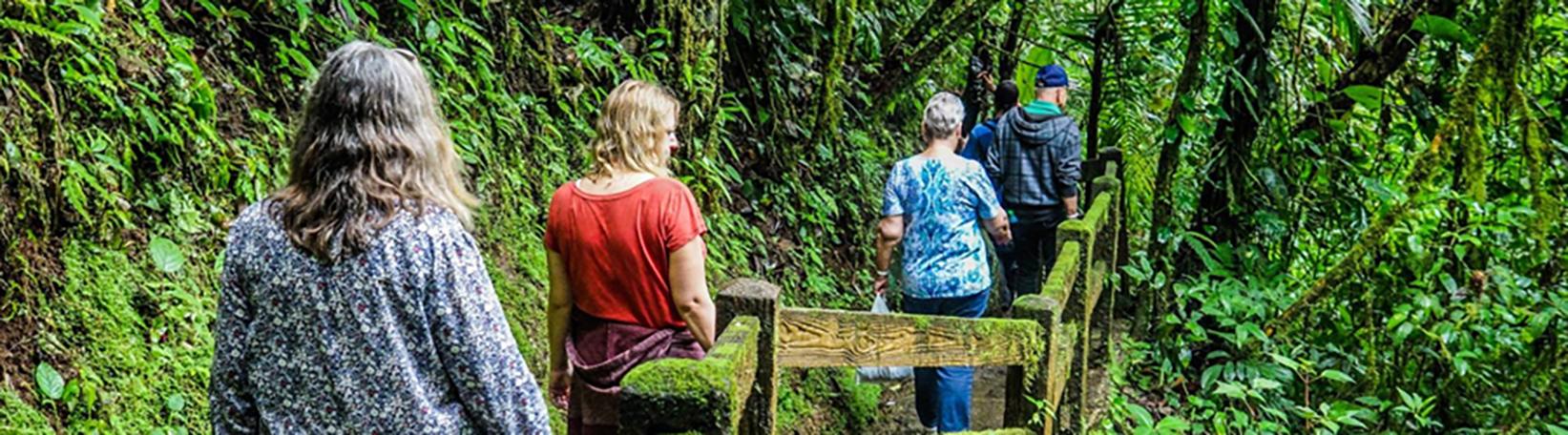 Balsa River Paddle, Arenal Saddle & La Fortuna Waterfall Hike Super Combo Tour 5