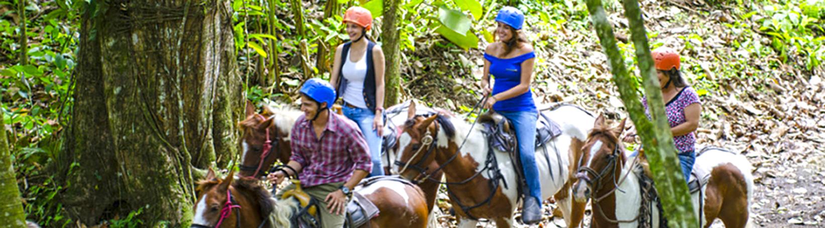 Balsa River Paddle, Arenal Saddle & La Fortuna Waterfall Hike Super Combo Tour 6
