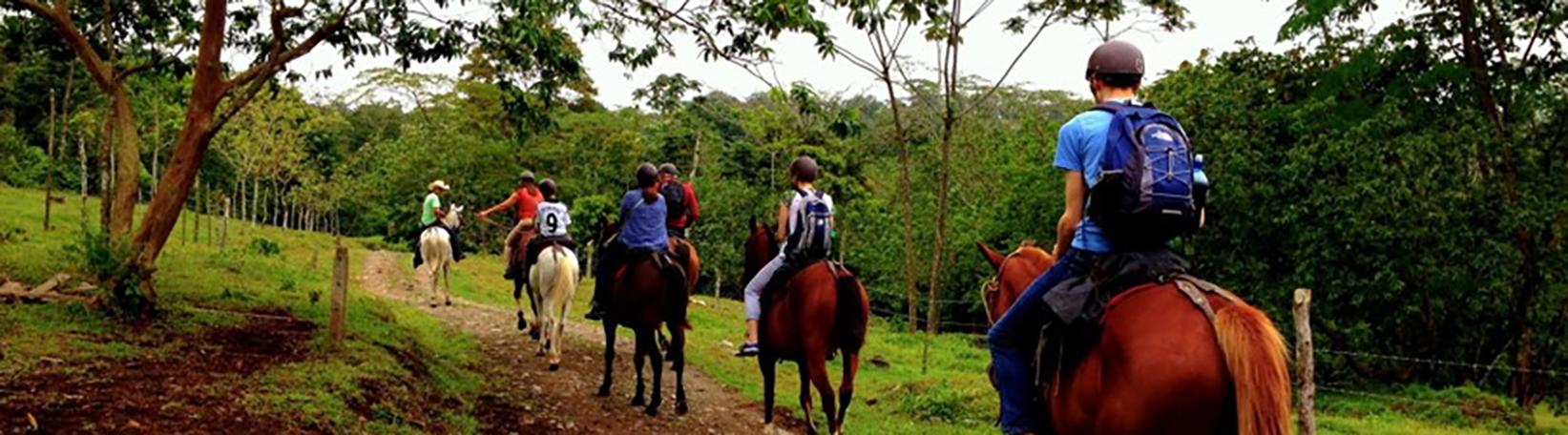 Balsa River Paddle, Arenal Saddle & La Fortuna Waterfall Hike Super Combo Tour 8