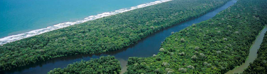 Tortuguero Shuttle (Land & Water Transfer) Tour 2