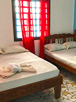 Tortuguero Hostel