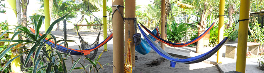 Smart Connections Deals Tortuguero 2 Days Tour 5