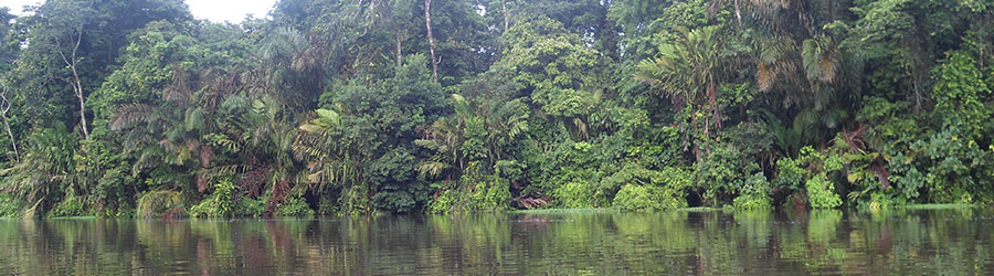 Smart Connections Deals Tortuguero 2 Days Tour 8