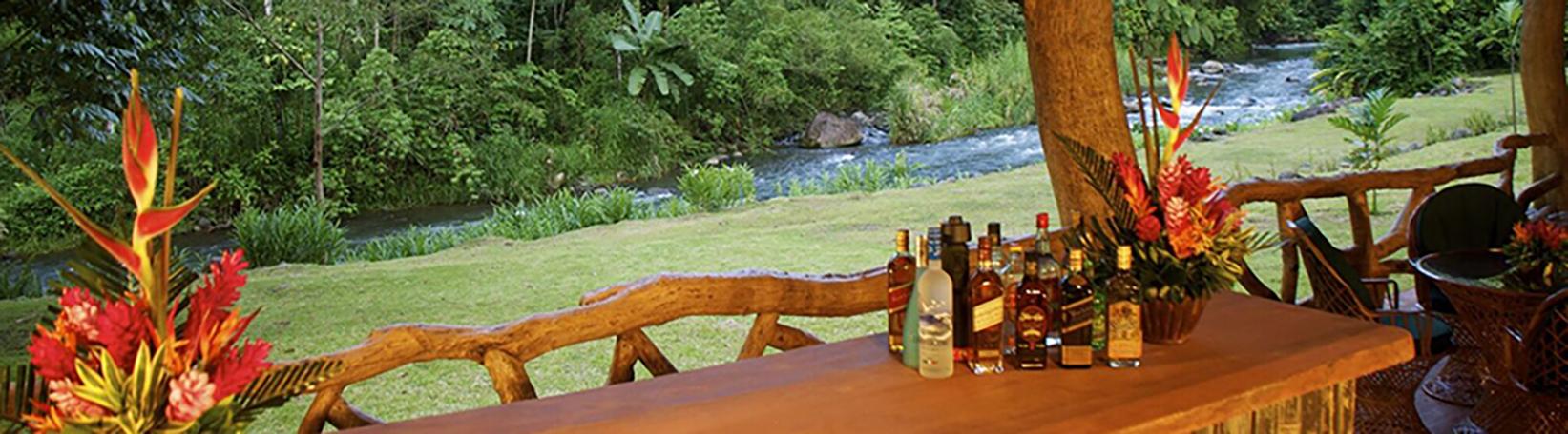 The Springs Resort and Spa at Arenal Day Pass Tour 6