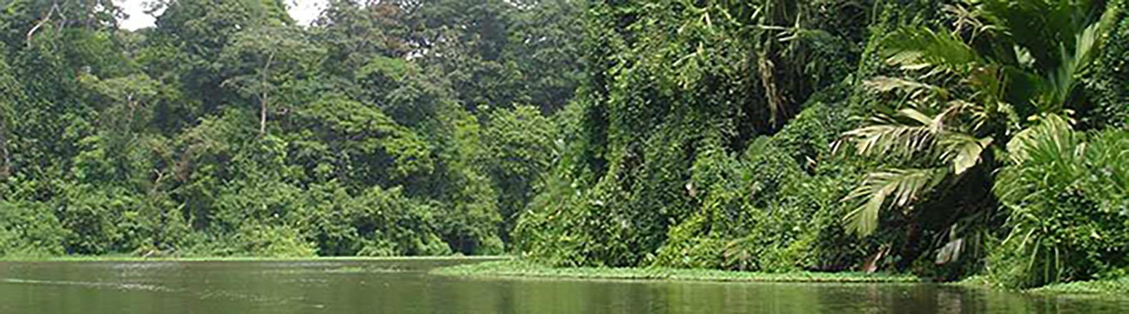Tortuguero Costa Rica 2 Day Expedition Tour 4